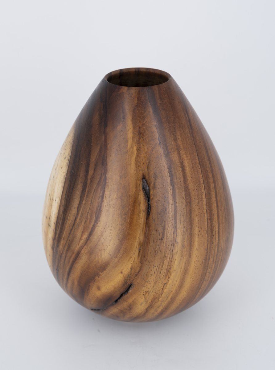 Mark Wood - Ants - $500