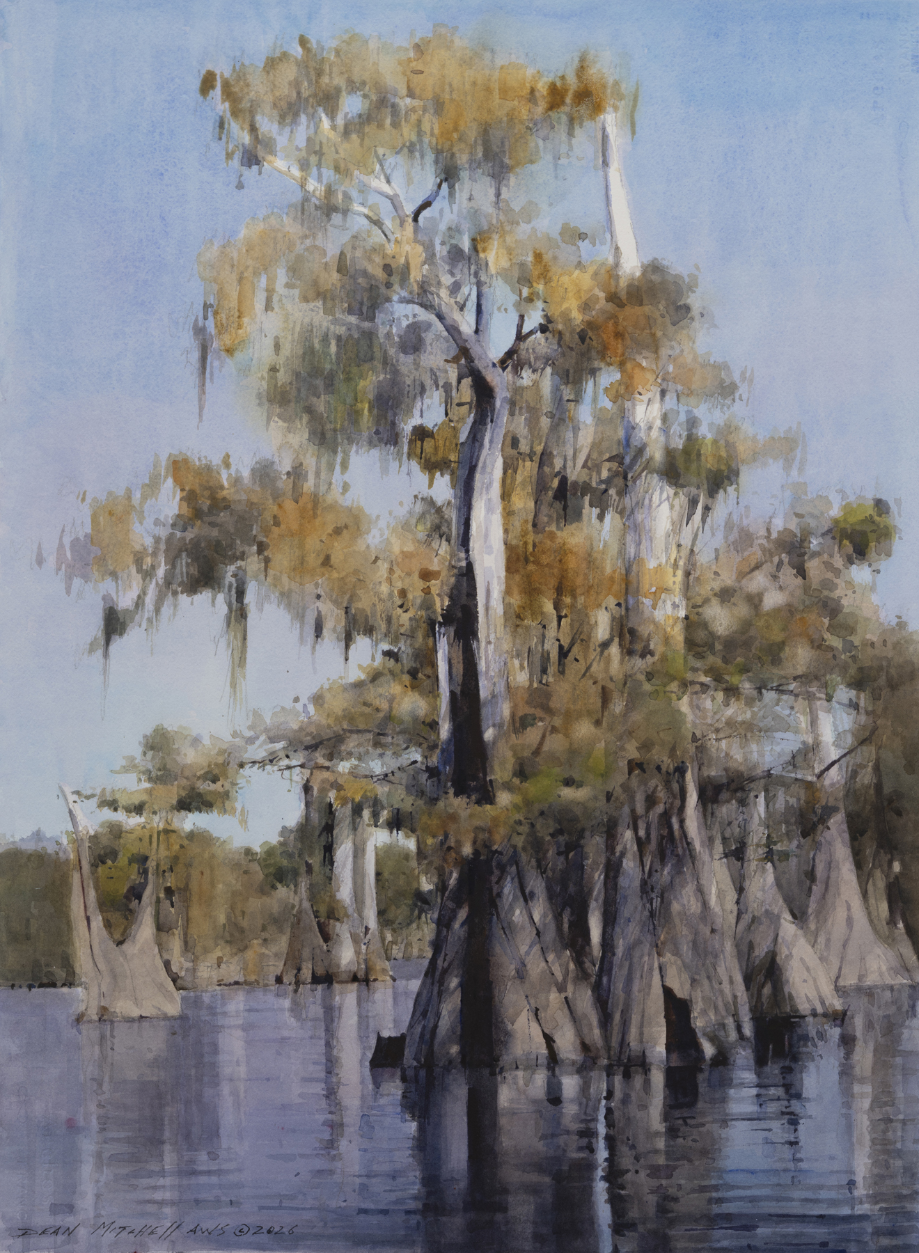 Dean Mitchell - Cypress Foliage