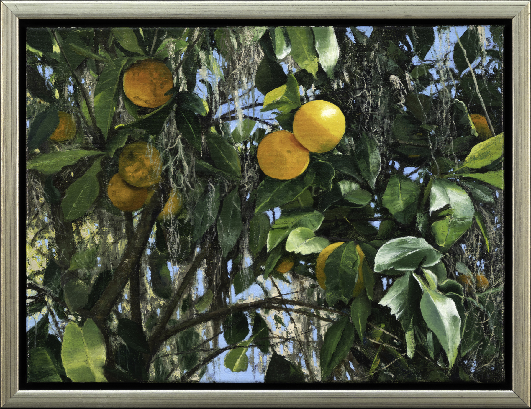 wild-florida-oranges-iii-84912-1-1